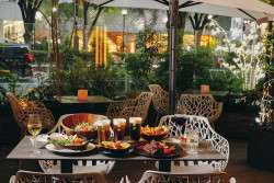 Best Summer Beer Gardens in Tokyo