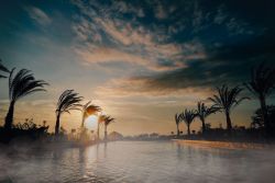 BOTANICAL POOL CLUB 